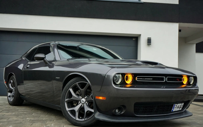 Dodge Challenger cena 129990 przebieg: 101000, rok produkcji 2019 z Czarnków małe 172